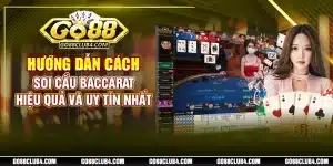 Live Casino