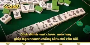 Tin Tức
