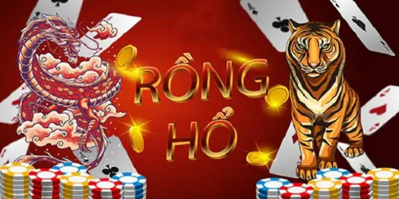 Cách soi cầu rồng hổ – bí quyết giúp bạn dự đoán kết quả chuẩn xác