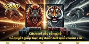 Tin Tức