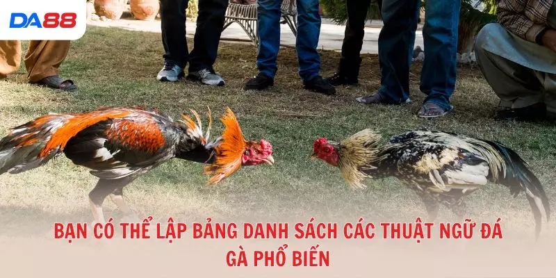 Từ A đến Z các thuật ngữ đá gà phổ biến trong sới gà hiện nay 2026