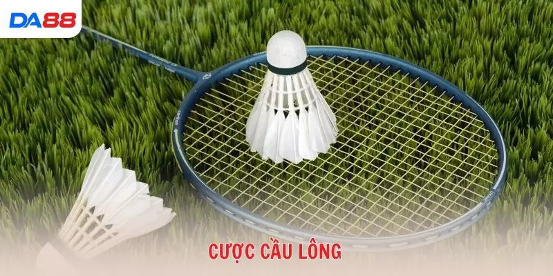 Top chiến thuật giúp bạn luôn lợi thế khi cược cầu lông 2026